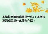 本格拉寒流的成因是什么?（本格拉寒流成因是什么简介介绍）