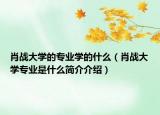 肖战大学的专业学的什么（肖战大学专业是什么简介介绍）