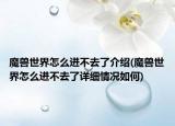 魔兽世界怎么进不去了介绍(魔兽世界怎么进不去了详细情况如何)