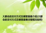 大都会的支付方式在哪里查看介绍(大都会的支付方式在哪里查看详细情况如何)