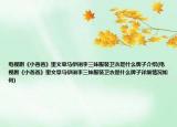 电视剧《小爸爸》里文章马伊琍李三妹服装卫衣是什么牌子介绍(电视剧《小爸爸》里文章马伊琍李三妹服装卫衣是什么牌子详细情况如何)