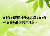 a bit of后面接什么名词（a bit of后面接什么简介介绍）