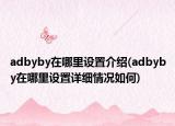 adbyby在哪里设置介绍(adbyby在哪里设置详细情况如何)
