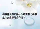 偶遇什么意思是什么意思啊（偶遇是什么意思简介介绍）