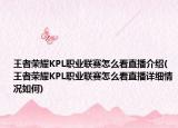 王者荣耀KPL职业联赛怎么看直播介绍(王者荣耀KPL职业联赛怎么看直播详细情况如何)