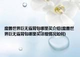 魔兽世界巨无霸背包哪里买介绍(魔兽世界巨无霸背包哪里买详细情况如何)