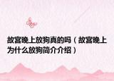 故宫晚上放狗真的吗（故宫晚上为什么放狗简介介绍）
