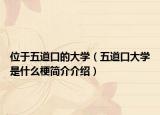 位于五道口的大学（五道口大学是什么梗简介介绍）