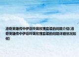 洛奇英雄传中伊菲玲珑玫瑰套装的问题介绍(洛奇英雄传中伊菲玲珑玫瑰套装的问题详细情况如何)