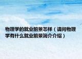物理学的就业前景怎样（请问物理学有什么就业前景简介介绍）