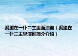 奚望在一仆二主里面演谁（奚望在一仆二主里演谁简介介绍）