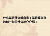 什么花香什么蝶自来（花香蝶自来的前一句是什么简介介绍）
