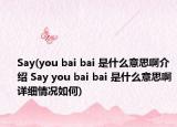 Say(you bai bai 是什么意思啊介绍 Say you bai bai 是什么意思啊详细情况如何)