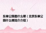 东单公园是什么梗（北京东单公园什么梗简介介绍）