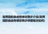 劲舞团的自由有哪些舞步介绍(劲舞团的自由有哪些舞步详细情况如何)