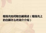 榴莲壳如何取白瓤用途（榴莲壳上的白瓤怎么吃简介介绍）