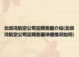北部湾航空公司官网客服介绍(北部湾航空公司官网客服详细情况如何)
