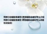 荒野行动辅助有哪些(使用辅助会被封号么介绍 荒野行动辅助有哪些 使用辅助会被封号么详细情况如何)