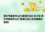 赛尔号盖亚怎么打(盖亚打法汇总介绍 赛尔号盖亚怎么打 盖亚打法汇总详细情况如何)