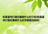 哈莫雷特打谱尼要刷什么好介绍(哈莫雷特打谱尼要刷什么好详细情况如何)