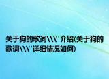 关于狗的歌词\