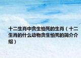 十二生肖中贪生怕死的生肖（十二生肖的什么动物贪生怕死的简介介绍）