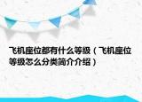 飞机座位都有什么等级（飞机座位等级怎么分类简介介绍）