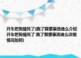 开车把狗撞死了(跑了算肇事逃逸么介绍 开车把狗撞死了 跑了算肇事逃逸么详细情况如何)