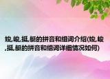 竣,峻,挺,艇的拼音和组词介绍(竣,峻,挺,艇的拼音和组词详细情况如何)