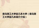 青岛理工大学是几本大学（青岛理工大学是几本简介介绍）
