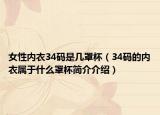女性内衣34码是几罩杯（34码的内衣属于什么罩杯简介介绍）