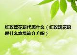 红玫瑰花语代表什么（红玫瑰花语是什么意思简介介绍）