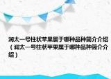 润太一号柱状苹果属于哪种品种简介介绍（润太一号柱状苹果属于哪种品种简介介绍）
