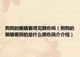 狗狗的眼睛看得见颜色吗（狗狗的眼睛看到的是什么颜色简介介绍）