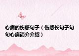 心痛的伤感句子（伤感长句子句句心痛简介介绍）