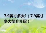 7.9英寸多大?（7.9英寸多大简介介绍）