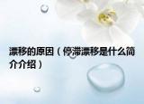 漂移的原因（停滞漂移是什么简介介绍）