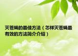 灭苍蝇的最佳方法（怎样灭苍蝇最有效的方法简介介绍）