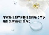 羊水是什么样子的什么颜色（羊水是什么颜色简介介绍）