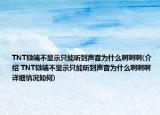 TNT微端不显示只能听到声音为什么啊啊啊(介绍 TNT微端不显示只能听到声音为什么啊啊啊 详细情况如何)