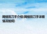 网络剪刀手介绍(网络剪刀手详细情况如何)