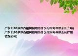 广东1100多岁古榕树倒塌为什么榕树寿命那么长介绍(广东1100多岁古榕树倒塌为什么榕树寿命那么长详细情况如何)
