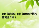 sg厂牌在哪（sg厂牌是哪个地方的简介介绍）
