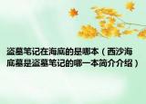 盗墓笔记在海底的是哪本（西沙海底墓是盗墓笔记的哪一本简介介绍）