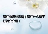 腮红有哪些品牌（腮红什么牌子好简介介绍）