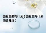 面包虫要吃什么（面包虫吃什么简介介绍）