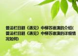 普法栏目剧《遇见》中柳苏谁演的介绍(普法栏目剧《遇见》中柳苏谁演的详细情况如何)