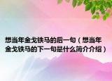 想当年金戈铁马的后一句（想当年金戈铁马的下一句是什么简介介绍）