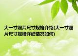 大一寸照片尺寸规格介绍(大一寸照片尺寸规格详细情况如何)