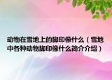 动物在雪地上的脚印像什么（雪地中各种动物脚印像什么简介介绍）